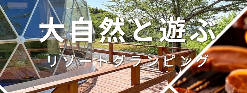 �u�b�L���O���]�[�g ���]�[�g�O�����s���O�h�b�g�R�����T�C�g